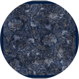 D81 (D81)