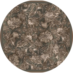 D84 (D84)