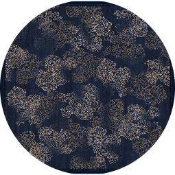 D05 (D05)